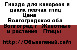 Гнезда для канареек и диких певчих птиц › Цена ­ 100 - Волгоградская обл., Волгоград г. Животные и растения » Птицы   